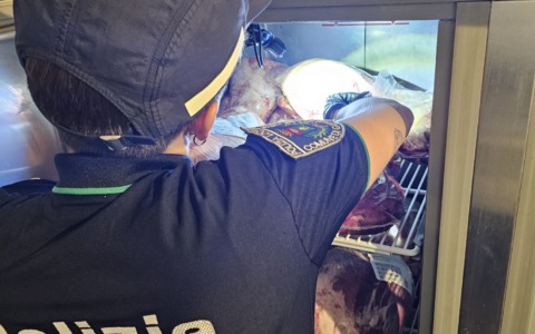Gravi violazioni igieniche in un ristorante: scatta la maxi multa